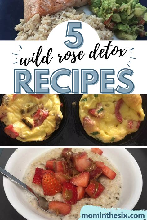 Wild Rose Detox Recipes Ultimate Cleanse Guide Recipe In