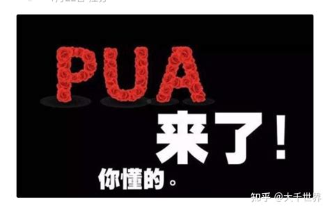 遇到职场pua时，有哪些简单有效的应对策略？ 知乎