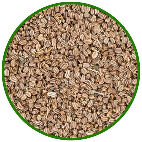 Celery Seeds Viji Foods