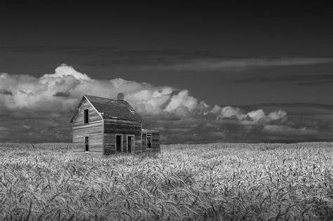 Black And White Of An Old Abandoned Prairie Farm House In A Whea