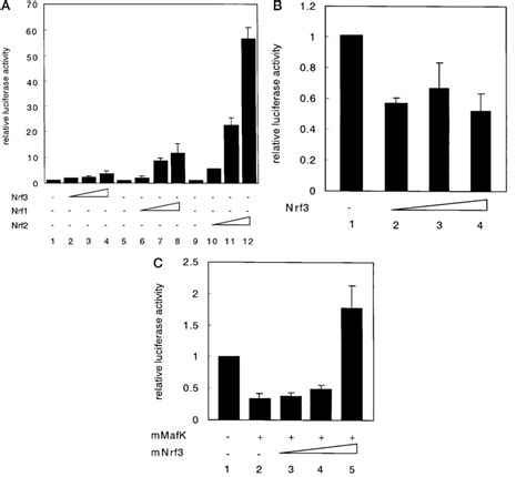 Transcriptional Activity Of Nrf A Mouse Nrf Nrf And Nrf