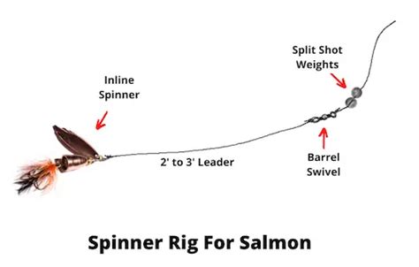 9 Top Salmon Rigs You Need To Know Detailed Rigging Guide