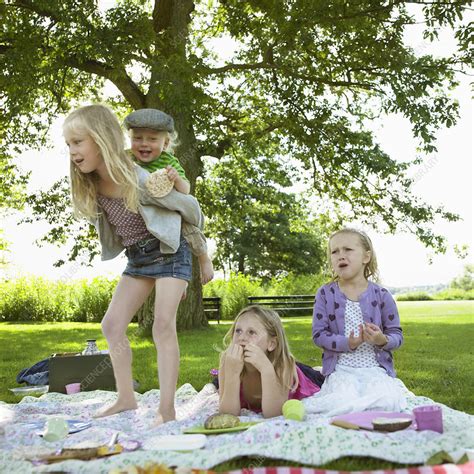 Children Playing At Picnic Stock Image F0044937 Science Photo