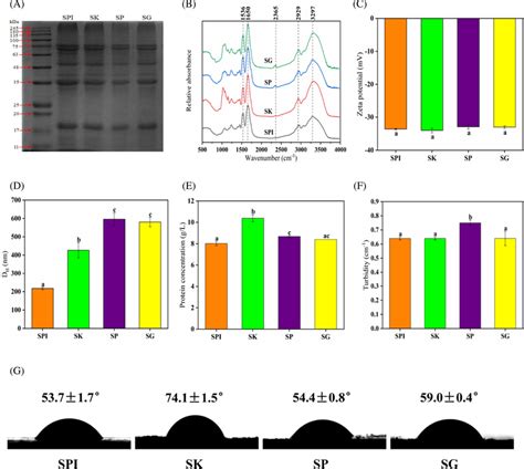 Characterizations Of Proteinpolysaccharide Complexes A Sds‐page Download Scientific Diagram