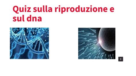 Quiz Sulla Riproduzione E Sul Dna