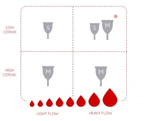 The 7 Best Menstrual Cups For Beginners In 2023 Ruby Cup Ruby Cup