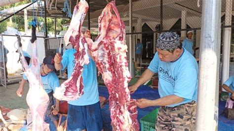 Selain Disimpan Dalam Freezer Ini Cara Menyimpan Daging Kurban Agar