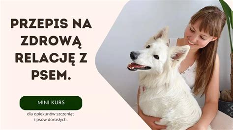 Psi Głos Konsultacje Behawioralne Szkolenia Webinary