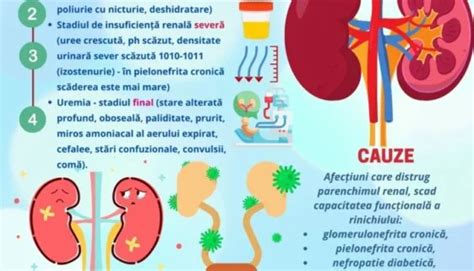 Insuficiența renală cronică IRC îngrijirea pacientului cu insuficiență