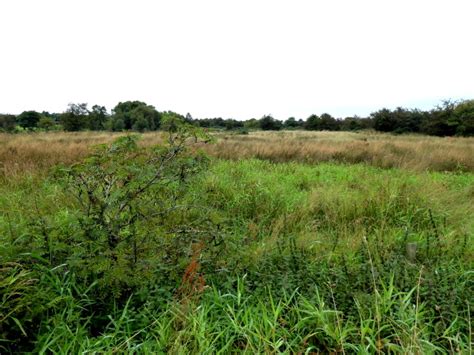 Rough Ground Killycurragh Kenneth Allen Cc By Sa 2 0 Geograph