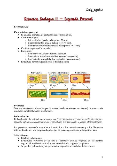 Biolog A Celular Udocz