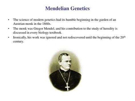 Ppt Mendelian Genetics Powerpoint Presentation Free Download Id 353460