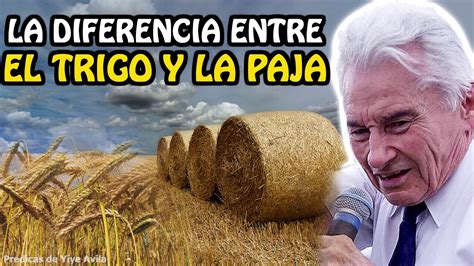 Yiye Avila Predicaciones 2020 La Diferencia Entre El Trigo Y La Paja