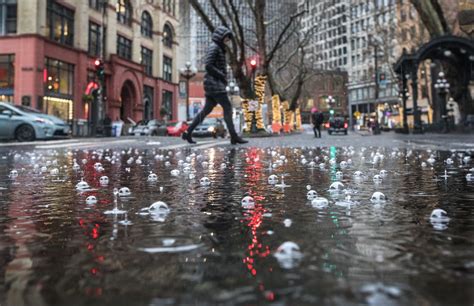 ‘extreme Rainstorms Becoming More Common In Seattle Says City