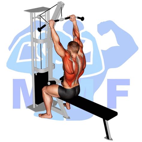 Lat Pulldowns For A Sexy V Taper Your Exercise Guide And Tips