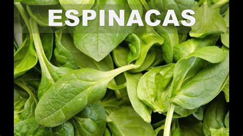 Con Estos 5 Beneficios De Las Espinacas Para La Salud Del Cuerpo Te