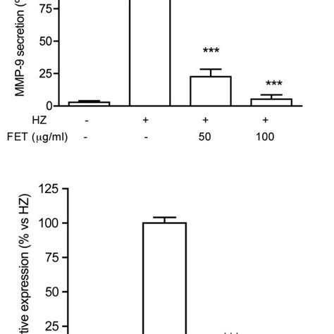 Effect Of Pg Fet On Mmp Secretion Panel A And Mrna Levels Panel B