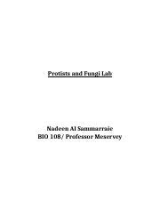 Protists And Fungi Lab Docx Protists And Fungi Lab Nadeen Al