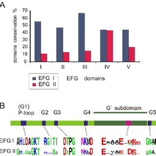 Schematic Representation Of Efg Domain Arrangement And Efg Ii Specific