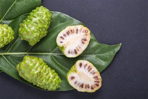 Fruit Of Great Morinda Noni Or Morinda Citrifolia Tree And Gre Stock