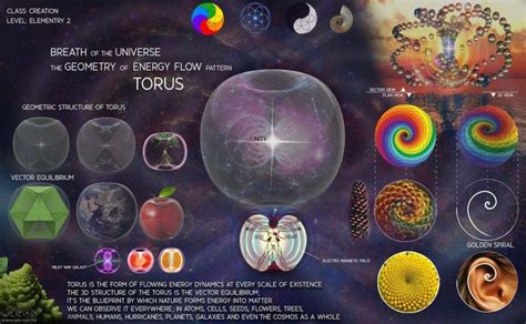 torus… | Sacred geometry, Geometry, Sacred geometry art