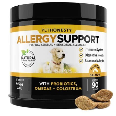 The Best Natural Allergy Medications For Dogs