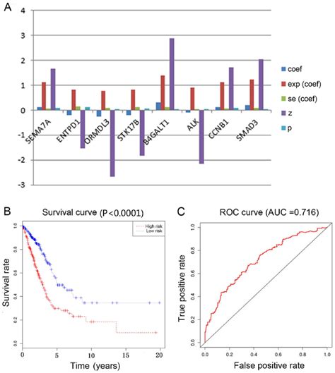 Cox Regression Model Of Genes Associated With Methylation And Immunity