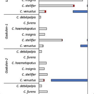 Ehdv Infection Rate Of Culicoides At Four Florida Deer Farms During Hd