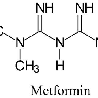 Metformin—the most widely prescribed antidiabetic drug | Download ...