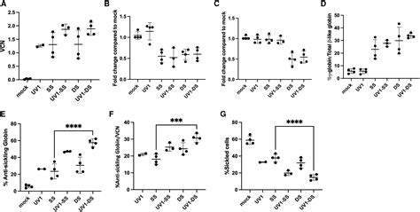 A Novel High Titer Bifunctional Lentiviral Vector For Autologous