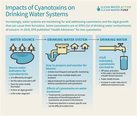 Harmful Algal Outbreaks and Drinking Water | Clean Water Action