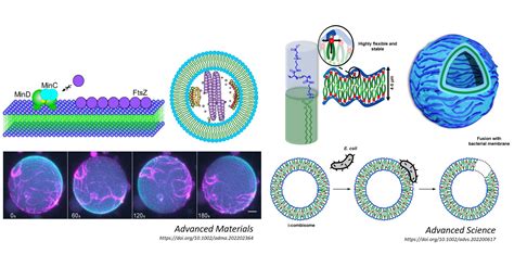 Scientists Move One Step Closer To Producing Functional Synthetic Cells