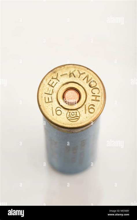 Shotgun Shell Primer