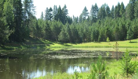 Realm Blue Heron Lake