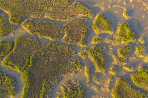 Atlantic Coastal Salt Marsh Stock Photos Pictures And Royalty Free