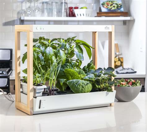 Diy Indoor Hydroponic Garden Kit | Fasci Garden