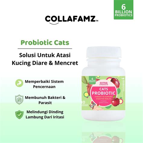 Jual Vitamin Kucing Cats Probiotic Collafamz Vitamin Kucing Mencret