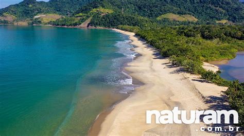 Praia Do Puruba Ubatuba O Que Fazer E Fotos Naturam