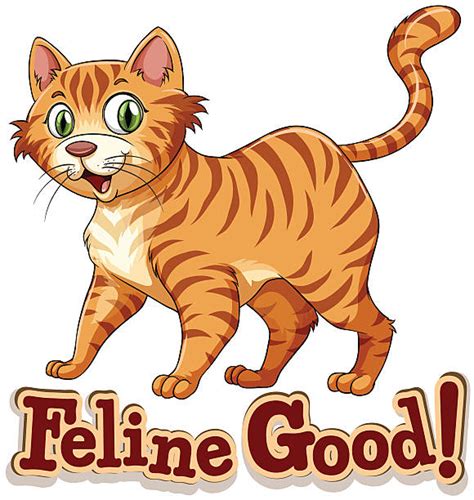 Best Ginger Cat Illustrations, Royalty-Free Vector Graphics & Clip Art ...