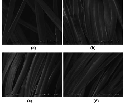 Scanning Electron Microscope Photographs Of Pristine Cotton Knit And