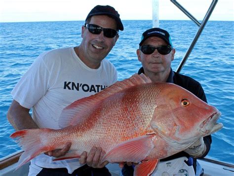 Big Red Emperor Fishing Madness Deep Sea Fishing The Great Barrier