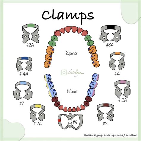 Clamps Dentales Escuela De Higiene Dental Anestesia En Odontologia