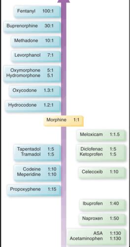 Exam 3 Chronics Hormones And Pain Flashcards Quizlet