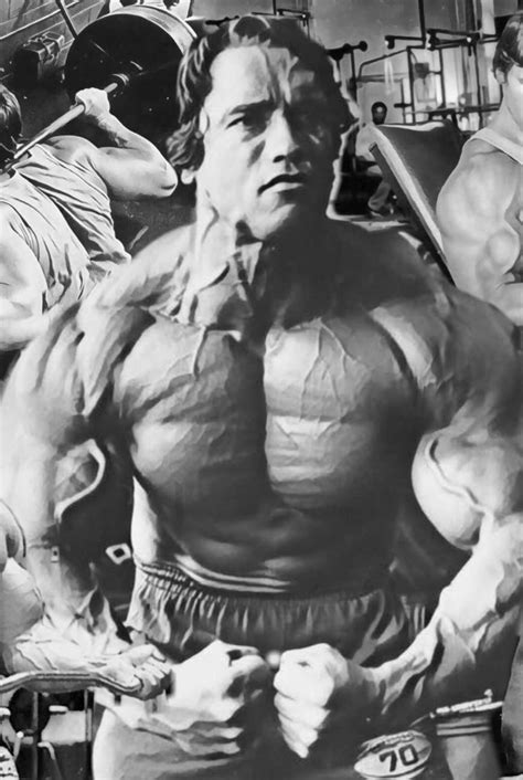 HUGE 42x33 PUMPING IRON Arnold Schwarzenegger Vinyl Banner Etsy