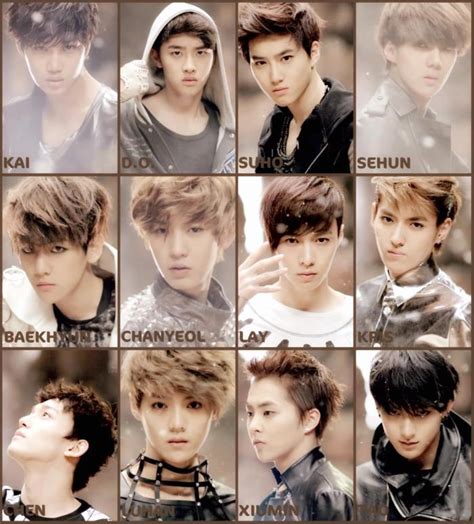 EXO MEMBERS - EXO LOVER