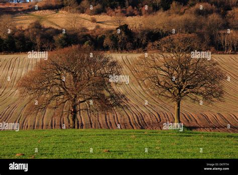 Newlands Corner Surrey Hills England Stock Photo Alamy