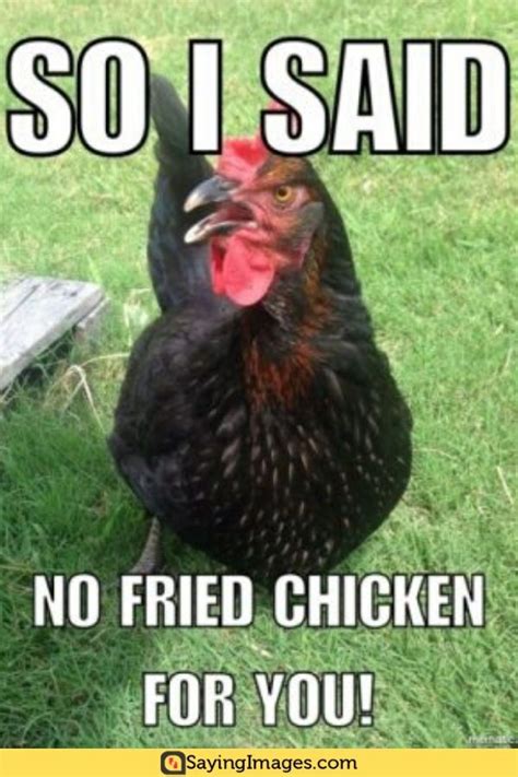 20 Chicken Memes That Are Surprisingly Funny Funny