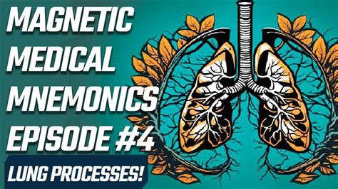 Mnemonic Examples For The Main Lung Processes The Magnetic Medical