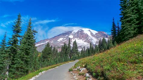 Mount Rainier Free Stock Photo - Public Domain Pictures