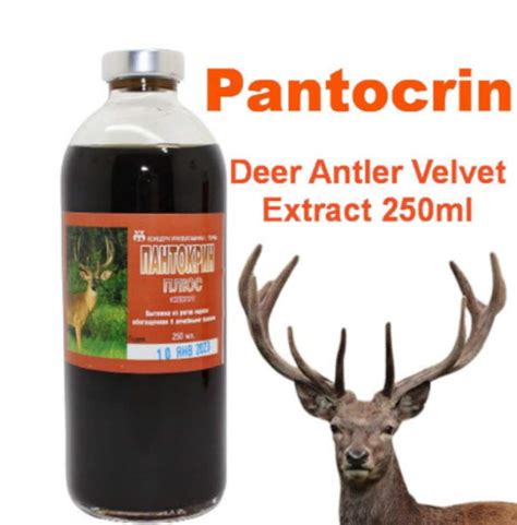 Pantocrin Deer Antler Velvet Extract 250ml Пантокрин Etsy